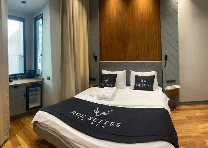 The Taksim Roe Point Hotel Istanbul