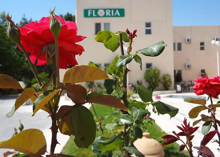 Pet friendly Floria Hotel Urgup