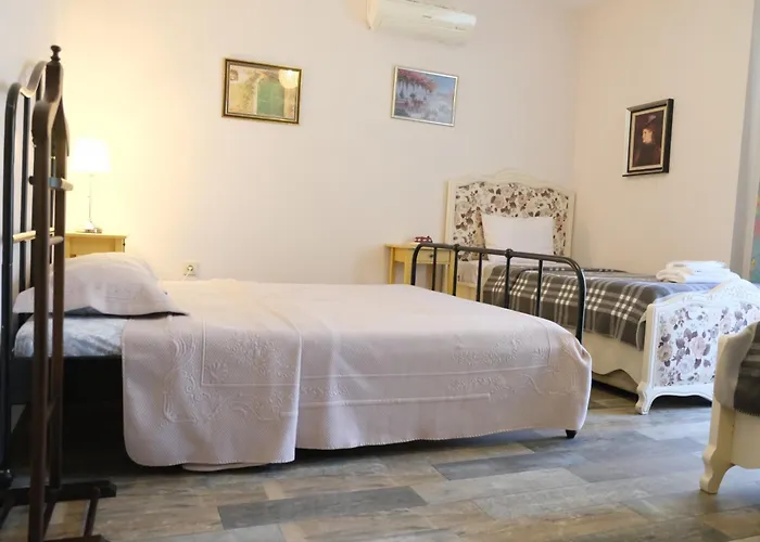 Pet friendly Niluefer Butik Otel (Adults Only) Ayvalik