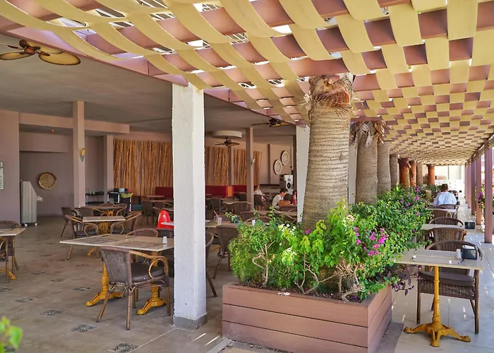 Yalikavak hotels near Dodo Beach Club