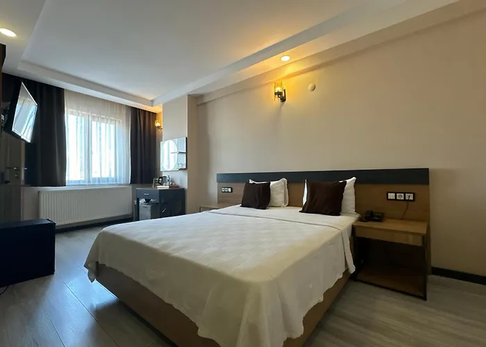 Merzifon Hotels