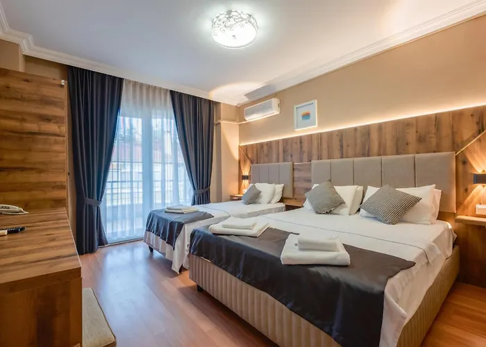 Altinoluk Hotels