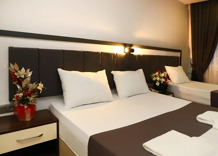 Arsin Hotels