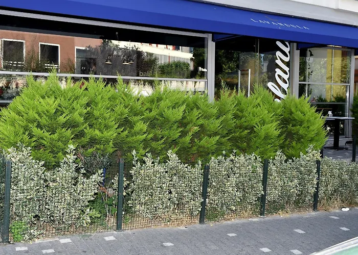 Pet friendly Levent Lavandula Hotel Istanbul