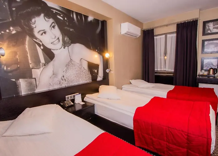 Ankara hotels near Cermodern