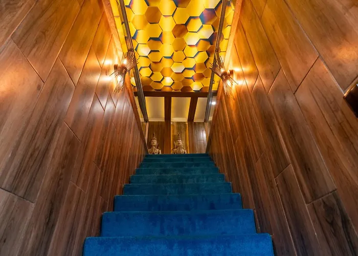 Pet friendly Fengo Hotel & Spa Trabzon