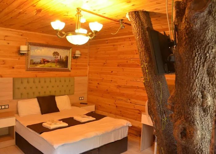 Ensar Apart Uzungol
