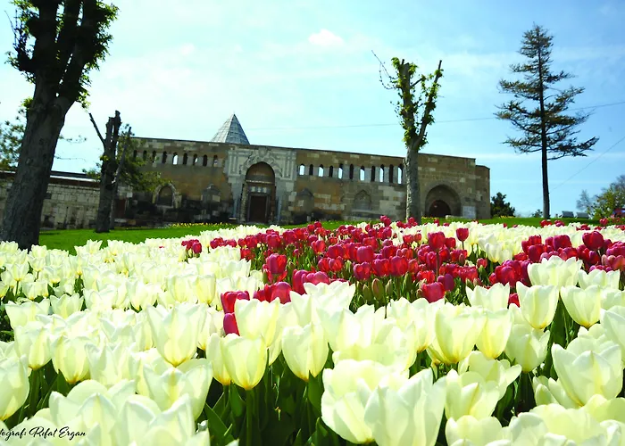 Konya hotels near Kapu Camii