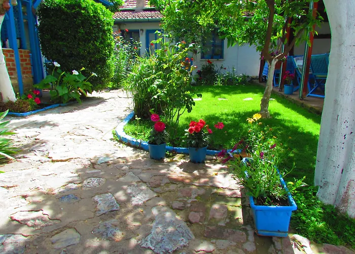 Pet friendly Amazon Antique Hotel Selcuk