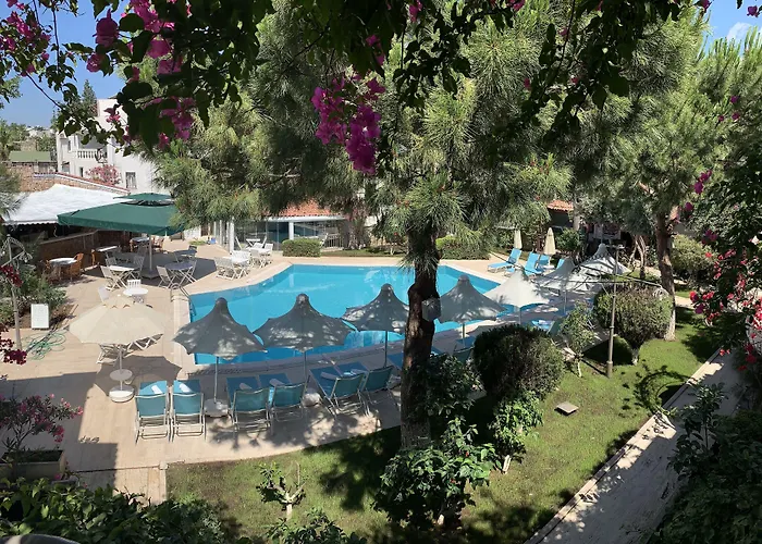 Bodrum hotels near Bodrum Barlar Sokagi
