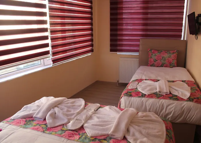 Pet friendly Goeruer Hotel Istanbul