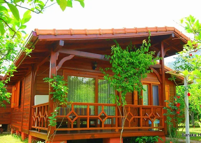 Pet friendly Baraka House Apartment Cirali
