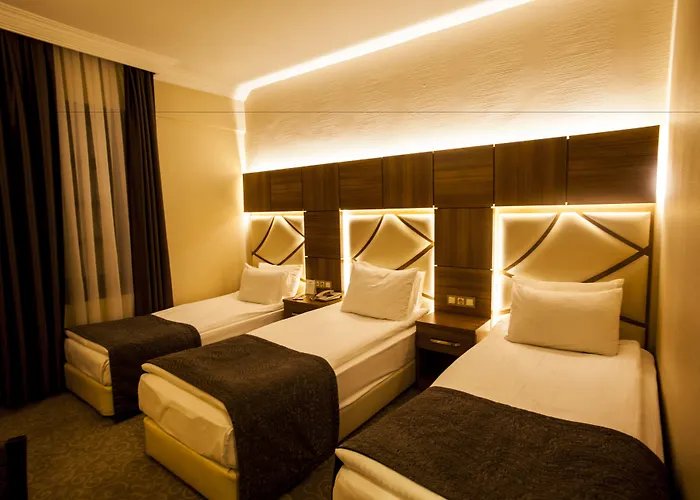 Rumi Hotel Konya