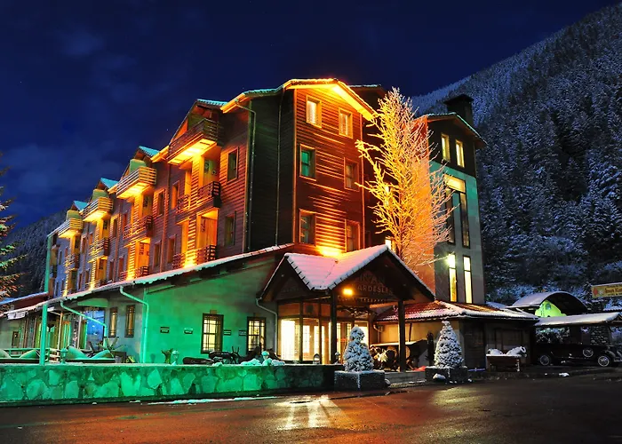 Uzungol Hotels