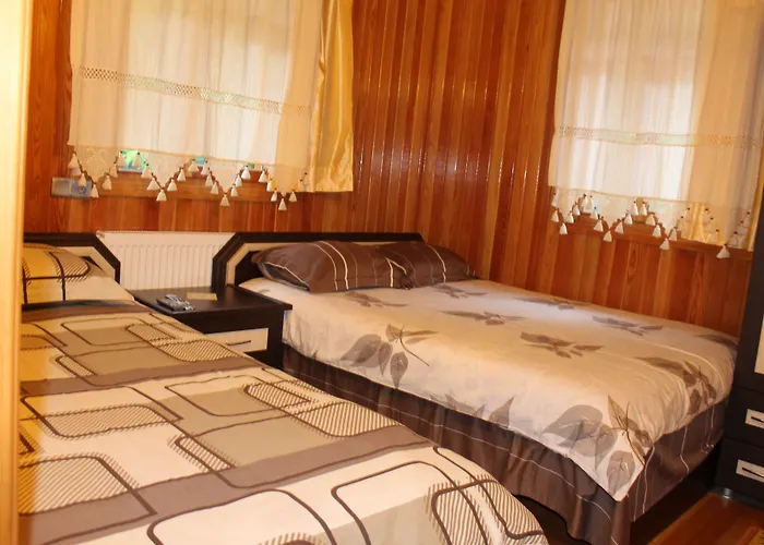 Ayder Yaylasi Hotels