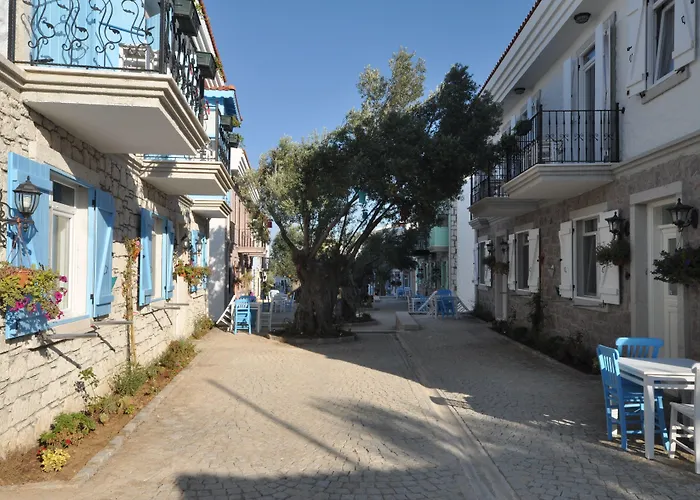 Zeytin Arasi Apart Otel Ayvalik