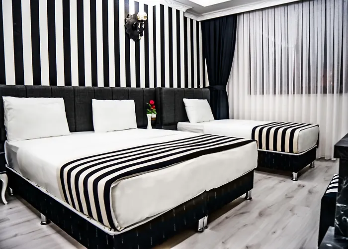 Pet friendly Cnr Inci Hotel Istanbul