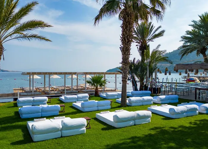 Pet friendly Flamm Hotel Golturkbuku