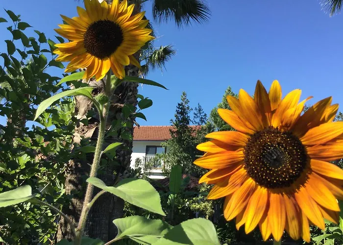 Dalyan Garden Pension