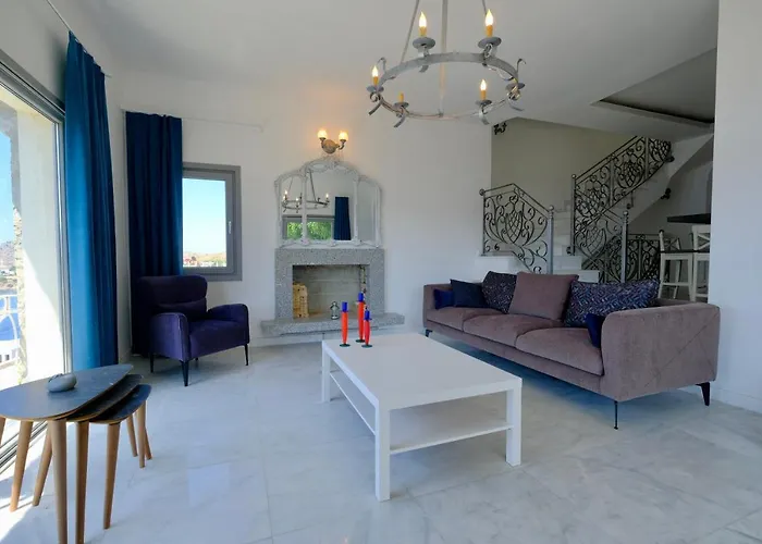 Pet friendly Ultra Luks Villa Yalikavak